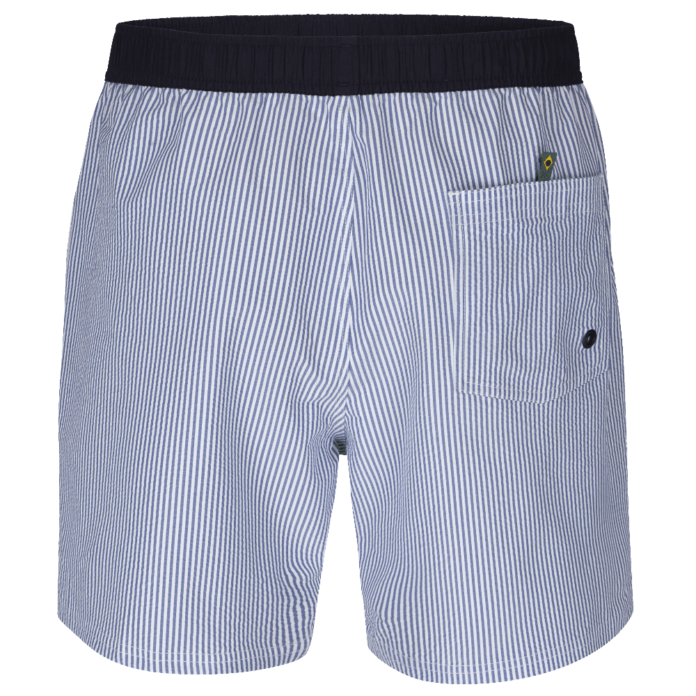 Shorts de Praia Havaianas Listrado - Azul