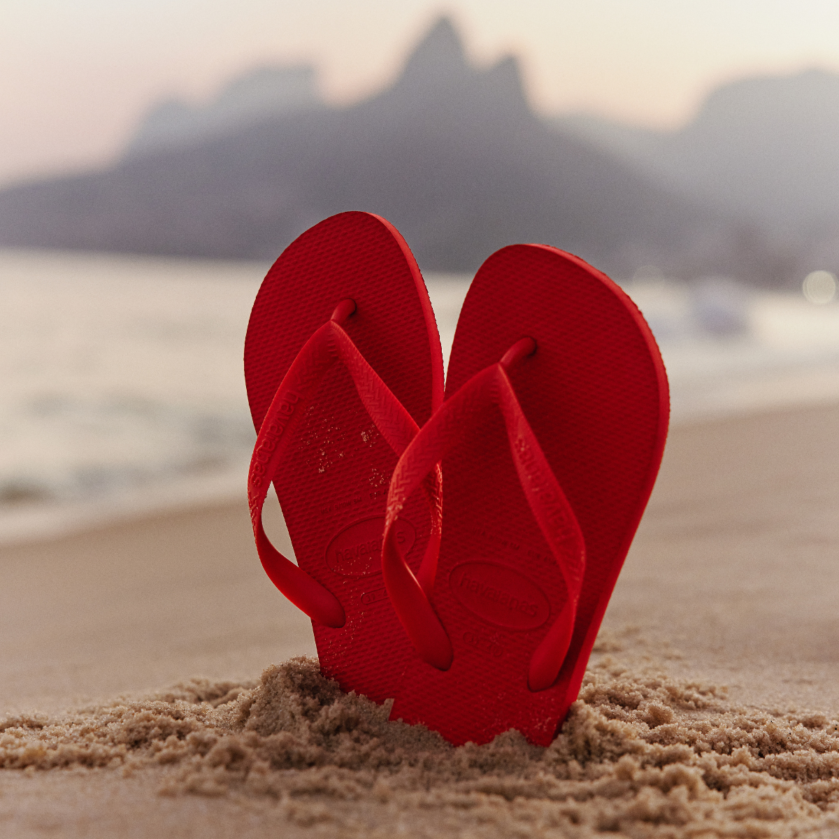 Chinelo Havaianas Top