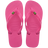 Rosa Flux