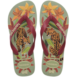 Chinelo Havaianas Ipê