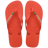 Vermelho/Vermelho