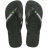 Verde Olive