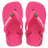 Rosa Flux