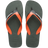 Verde Oliva