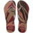 Amaranto