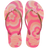 Rosa Flux