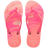 MANGA ROSA