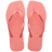 MANGA ROSA