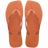 LARANJA CERRADO