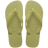 VERDE MANDACARU