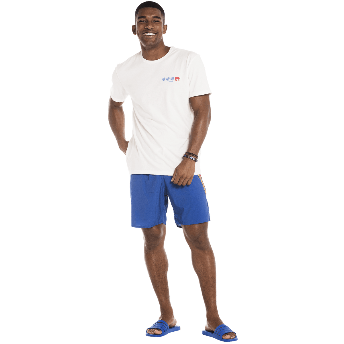 Camiseta Masculina Havaianas Biomas - Off White