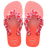 Manga Rosa