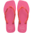Rosa Flux