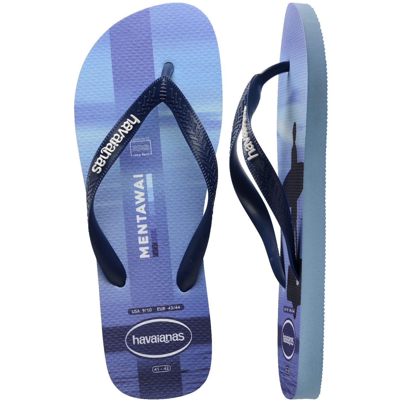Chinelo Havaianas Top Surfer I