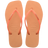 Pessego