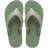 Verde Oliva