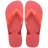 Coral Tropical