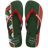 Verde Oliva