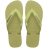 VERDE MANDACARU