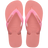 MANGA ROSA