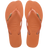 Laranja Cerrado