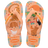 LARANJA SERIGUELA