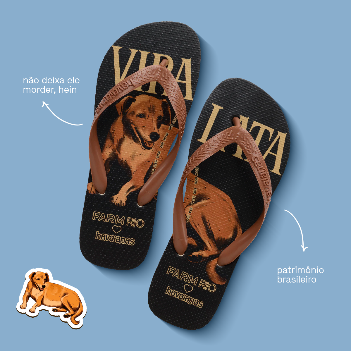 Chinelo Havaianas Farm Vira Lata