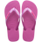 Rosa Gum